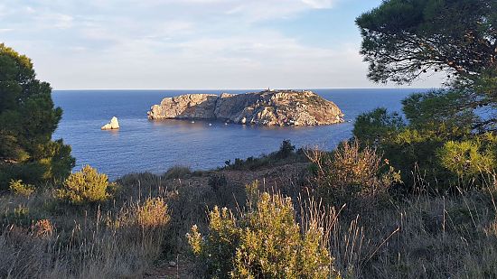 Îles Medes dans le Parc Naturel de l'Estartit au centre de l'Empordà-Costa Brava